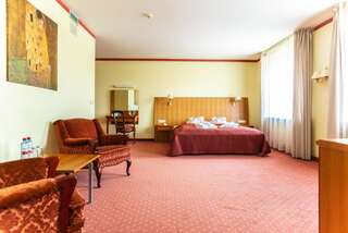 Отель Hotel Tigra Приекули Люкс с кроватью размера «king-size»-8